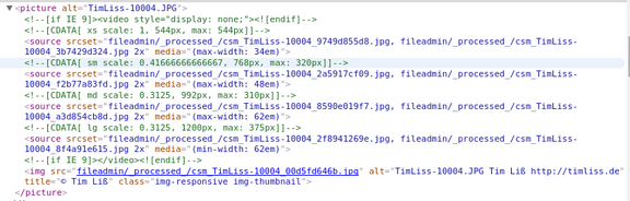 HTML Quellcode des picture Tags